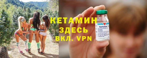 гашик Алексеевка