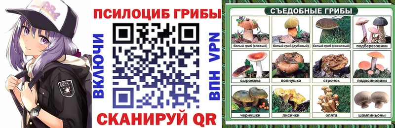 магазин    Истра  Псилоцибиновые грибы прущие грибы 